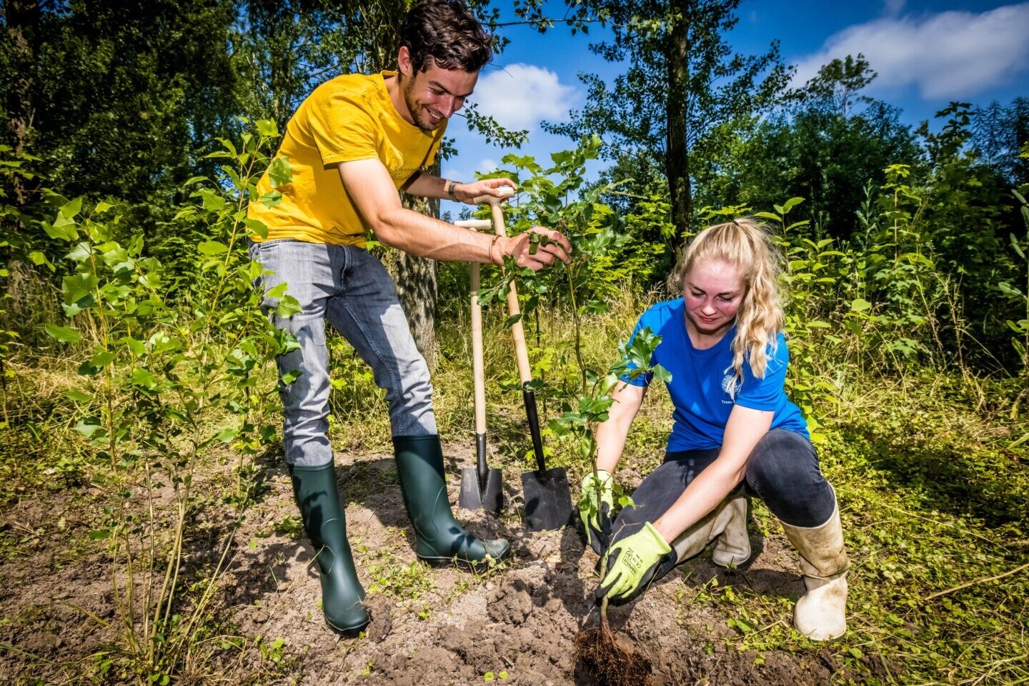 Een man een vrouw die samen een kleine boom planten.