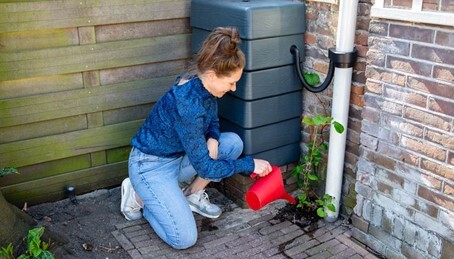 Vrouw die water geeft aan een plantje die voor een regenton staat