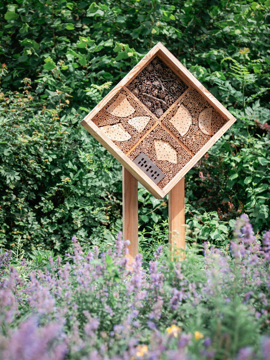 Sfeerbeeld van een insectenhotel