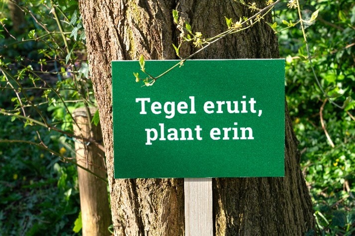 Sfeerafbeelding NK tegelwippen
