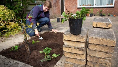 Vrouw die tegels uit de tuin heeft gehaald en hierin planten in de plaats voor heeft gedaan