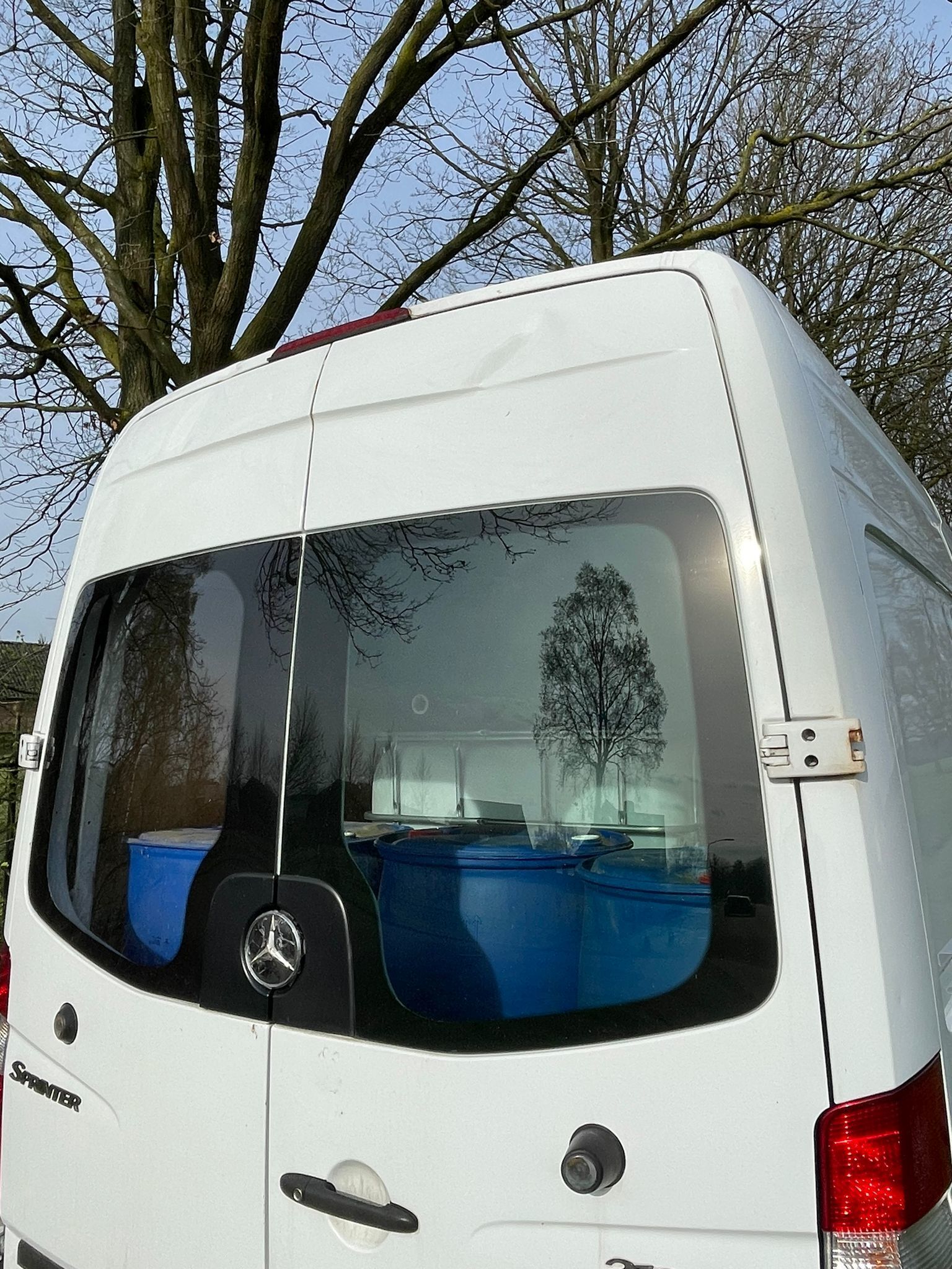 Foto van de lokbus